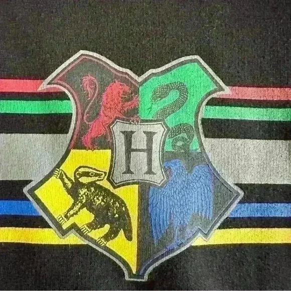 KIDS HARRY POTTER hoodie, size XL - Picture 3 of 13